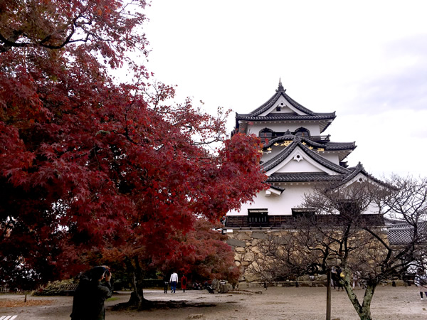 紅葉の彦根城