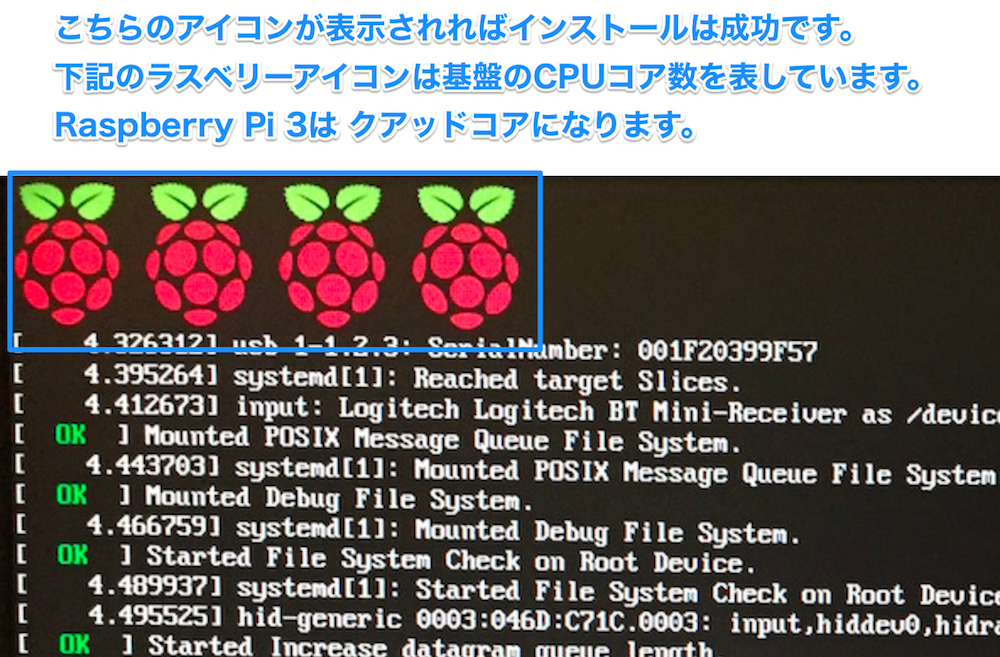 Raspberry_2017030105