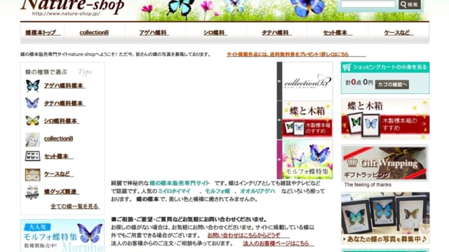 蝶の標本販売「ネイチャーショップ Nature-Shop」