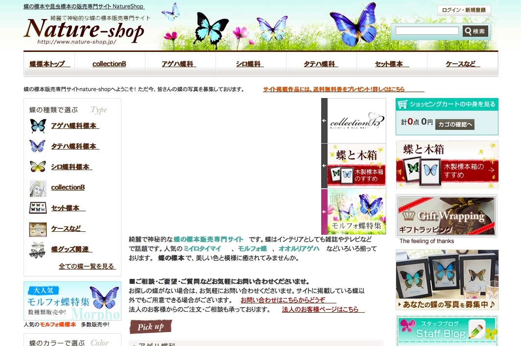 蝶の標本販売「ネイチャーショップ Nature-Shop」